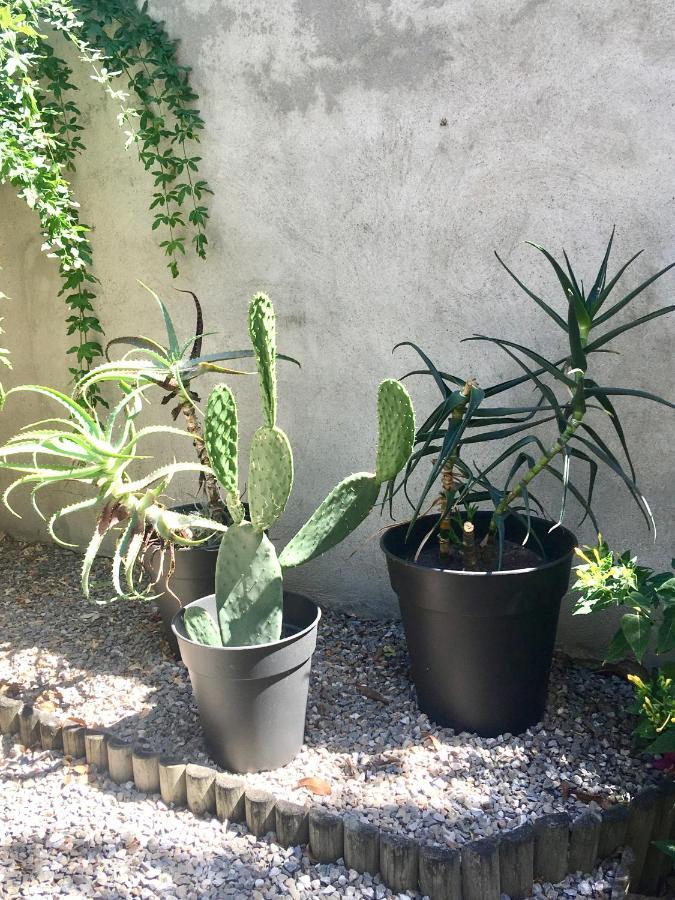 Dans Une Maison, Appartement Independant Et Jardin Perpignan Eksteriør billede